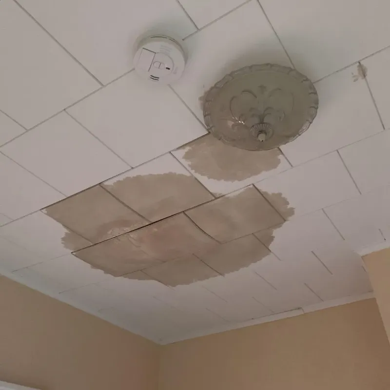 Ceiling Water Damage Repair in Thompsonville, CT