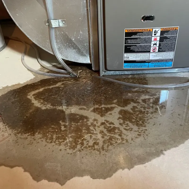 Pipe Burst and Leak Restoration in Thompsonville, CT